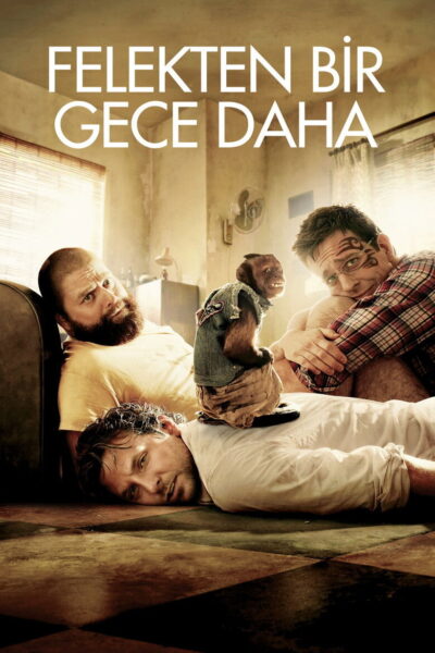 Felekten Bir Gece Daha orijinal film afişi